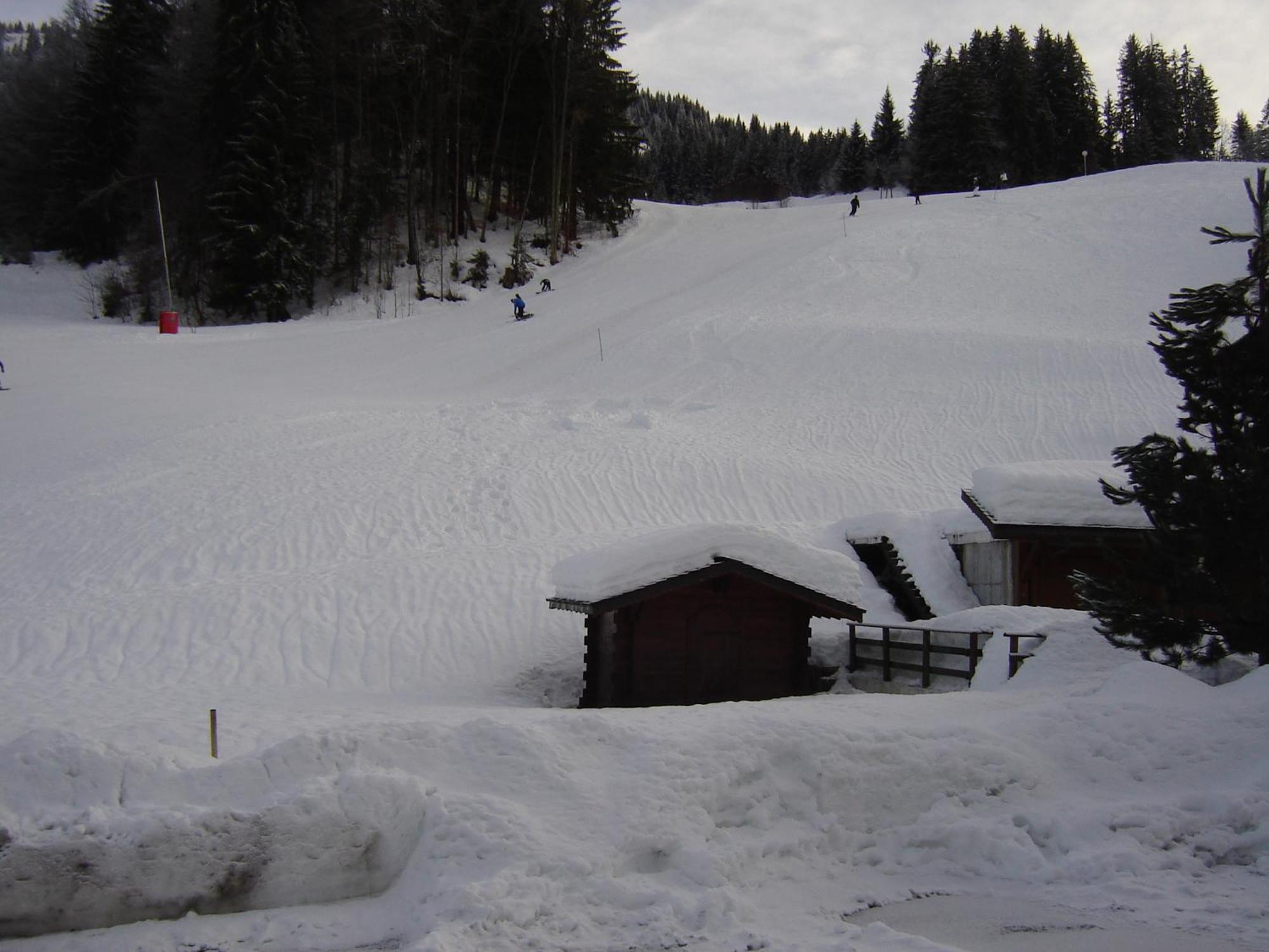 Hôtel Les Bernards Praz-sur-Arly Extérieur photo
