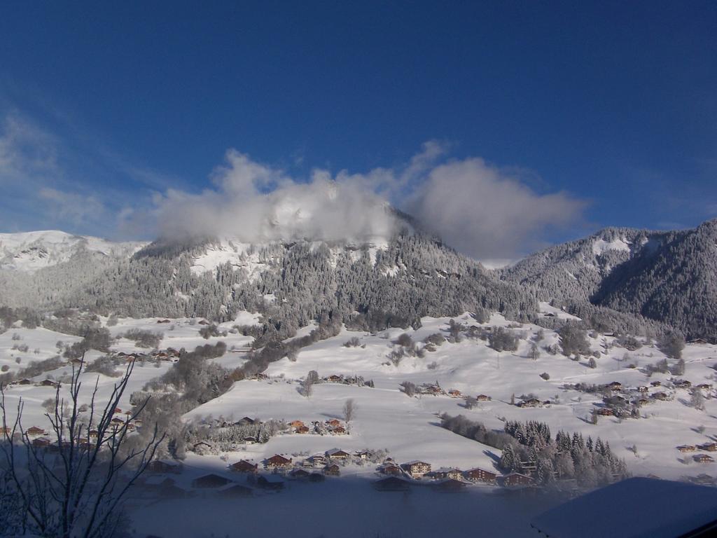 Hôtel Les Bernards Praz-sur-Arly Extérieur photo
