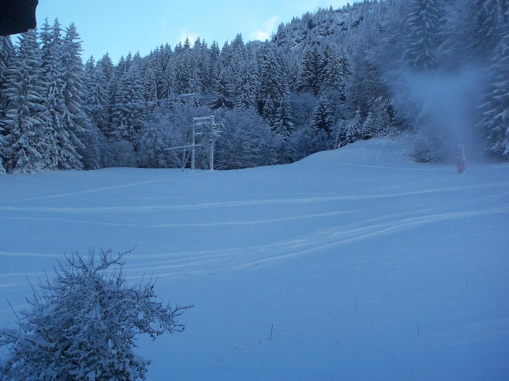 Hôtel Les Bernards Praz-sur-Arly Extérieur photo