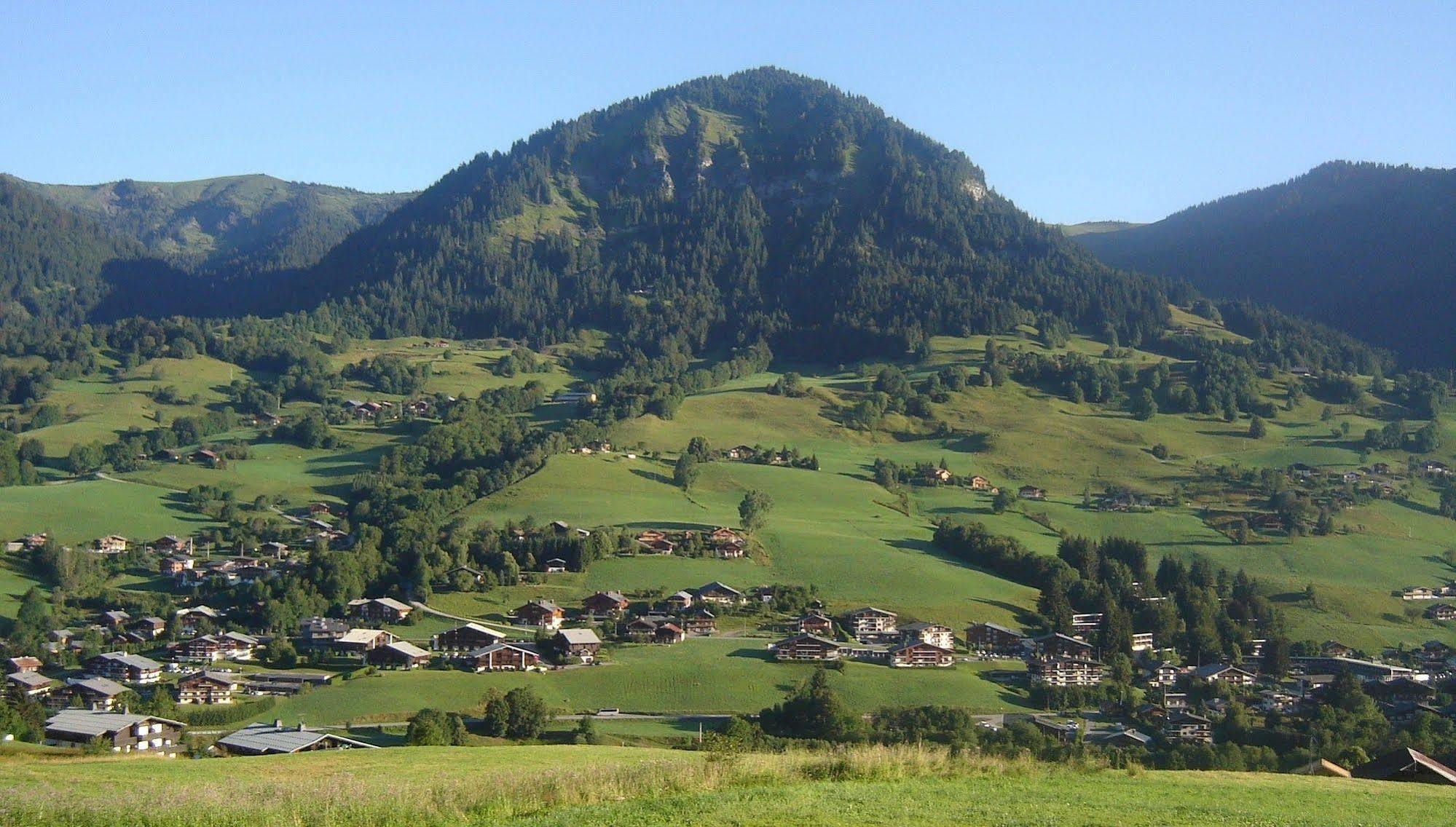 Hôtel Les Bernards Praz-sur-Arly Extérieur photo
